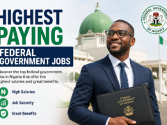 Top 30 Highest Paying Federal Government Jobs in Nigeria (2026 Updated List)